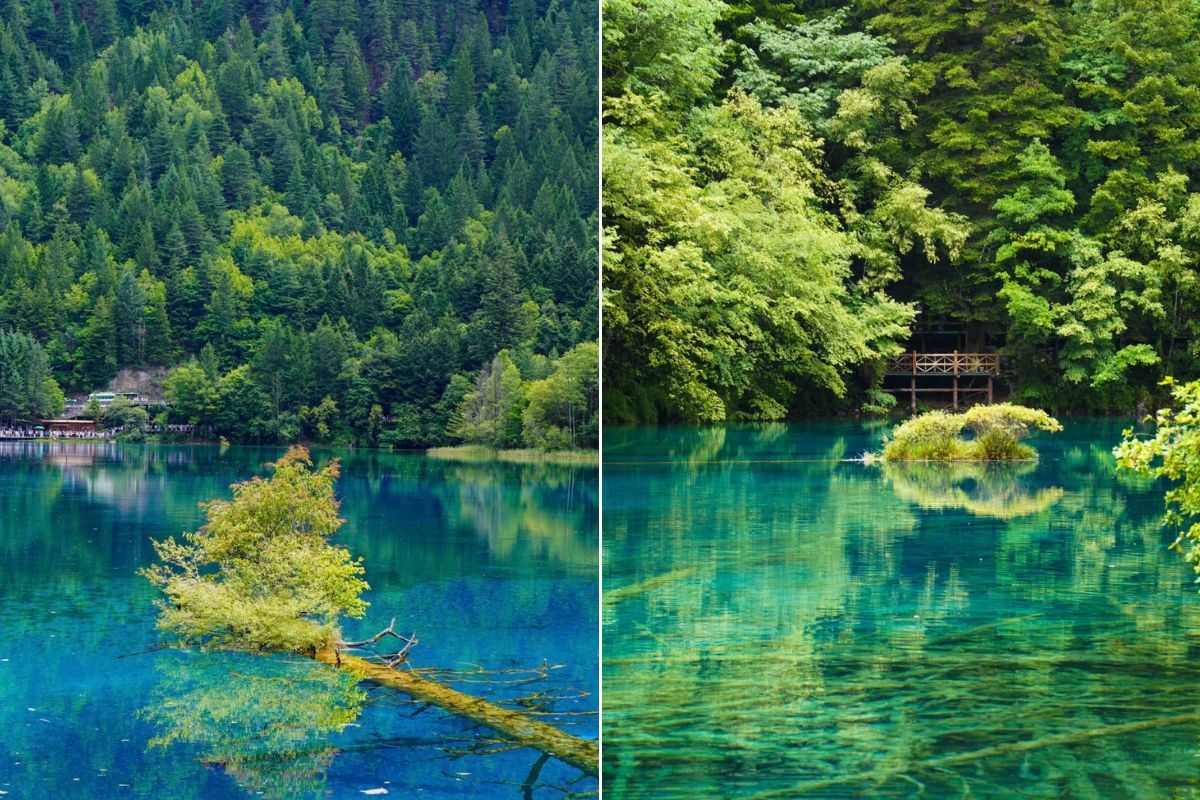九寨溝